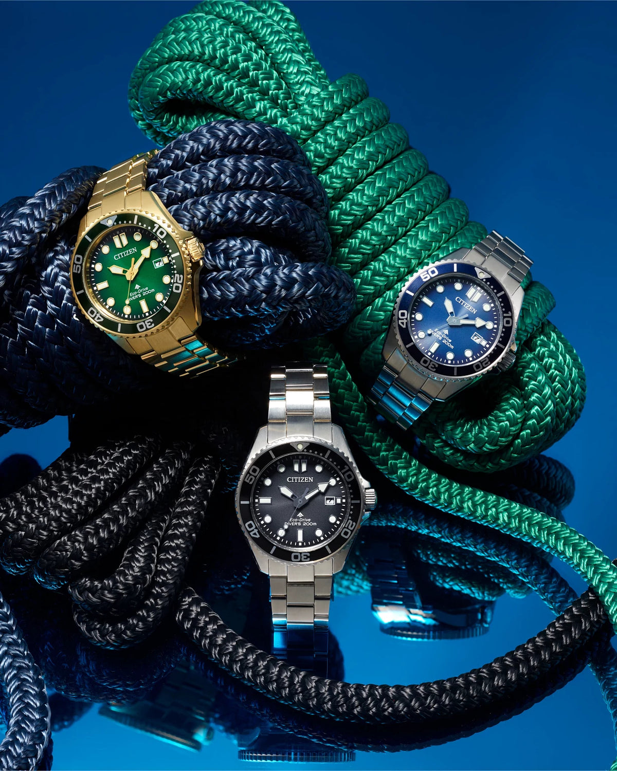 Citizen Promaster Dive Black Dial Professional Diver Watch