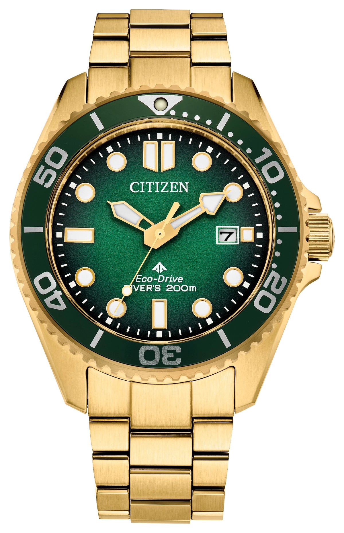 PROMASTER DIVER