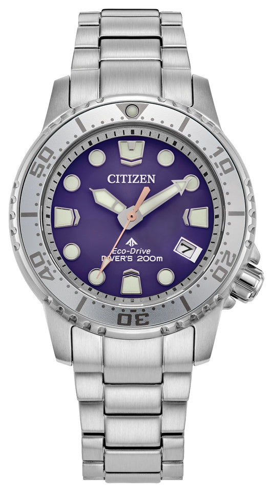 PROMASTER PROFESSIONAL DIVER